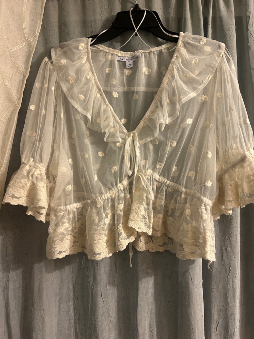 Sheer Ivory Lace Ruffle Tie-Front Blouse